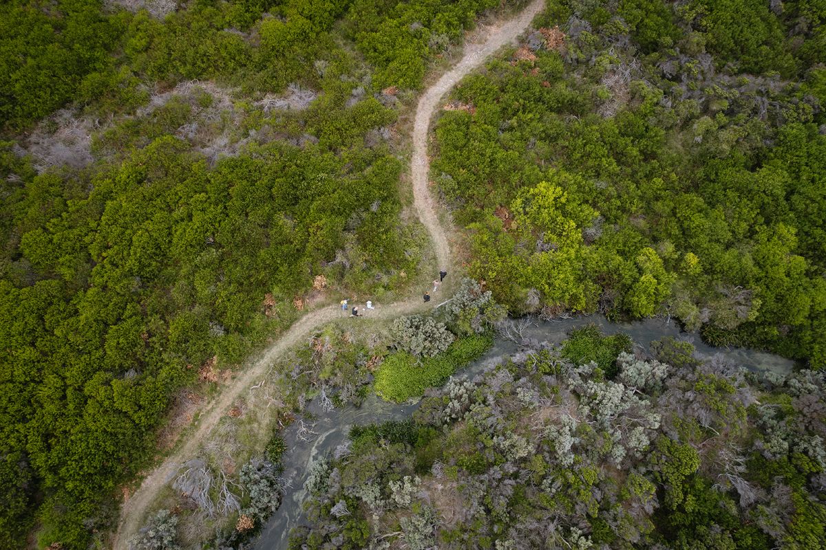 Walking Piccaninnie Ponds