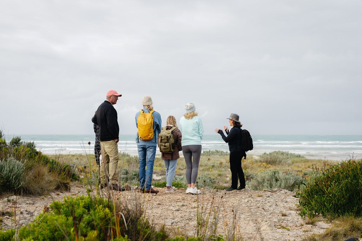 Piccaninnie Ponds Wetlands