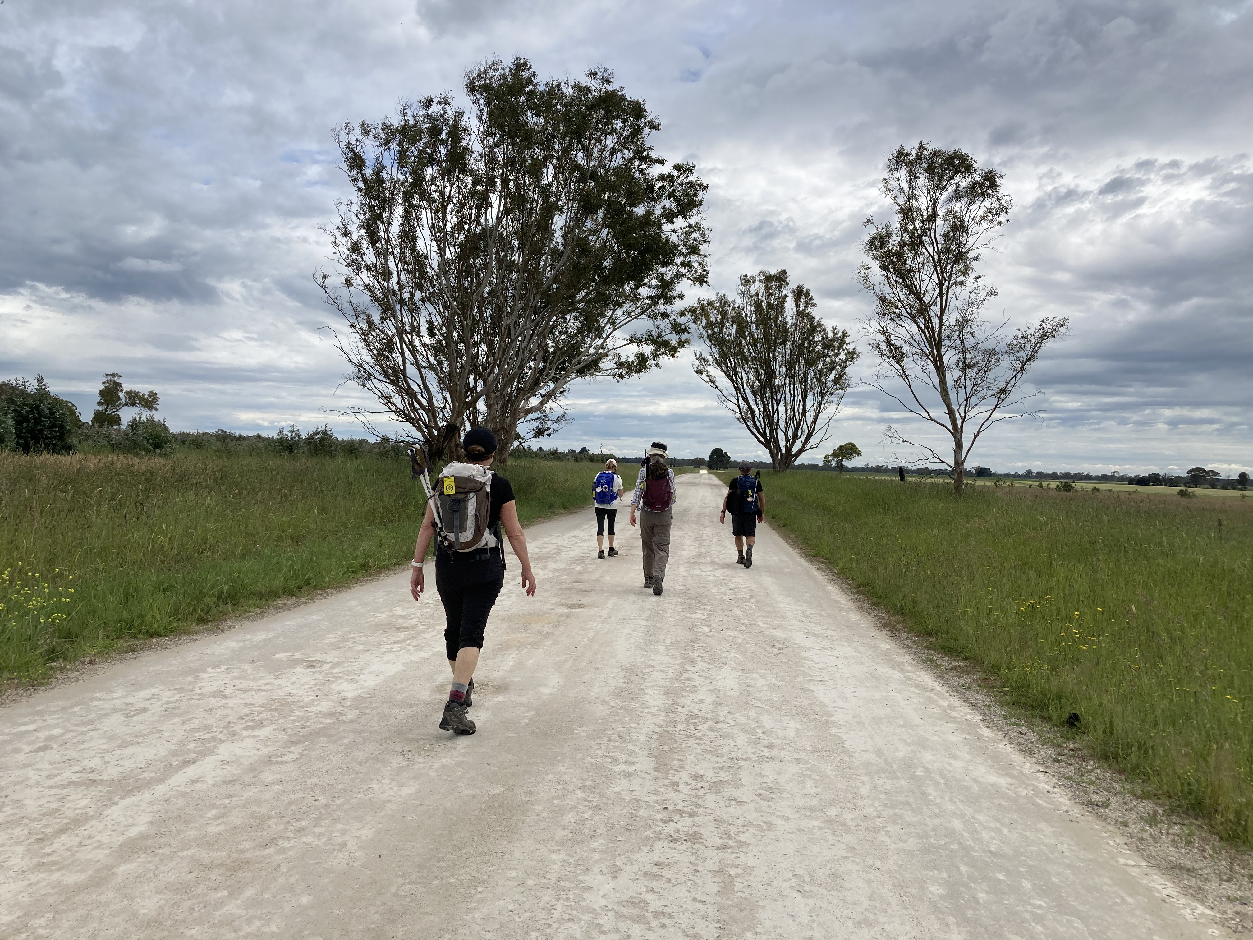 Aussie Camino walking the limestone roads
